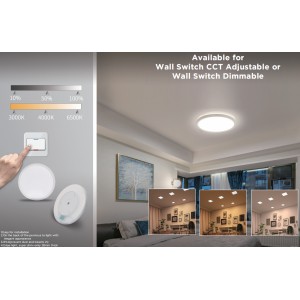 HL-Wall Switch Adjustable / Dimmable